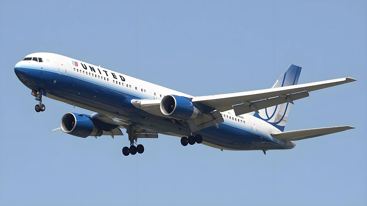 宠物航空托运